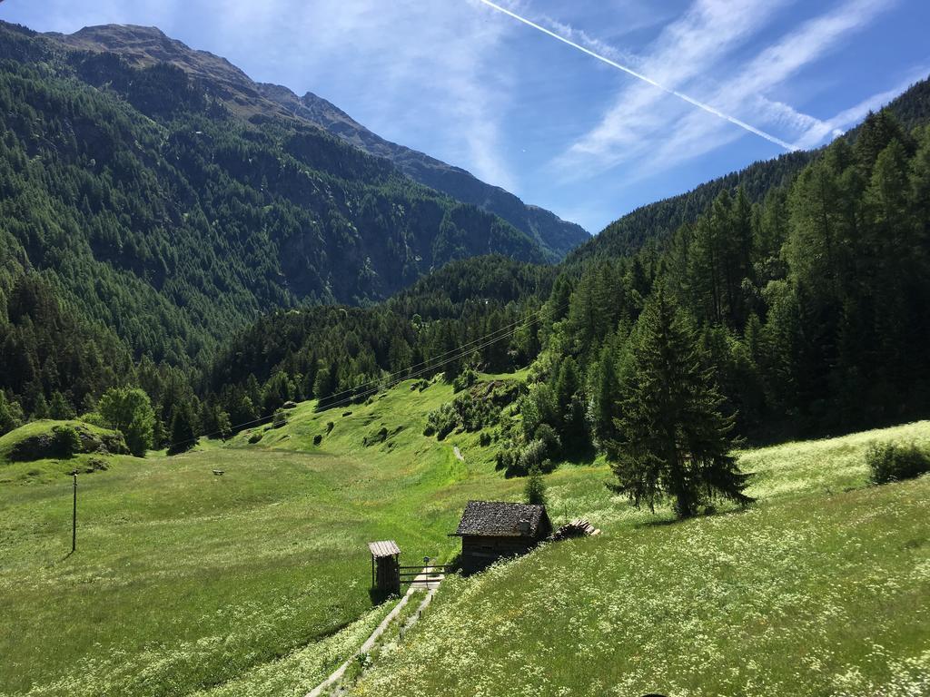 索尔登非戈尔膳食旅馆公寓 外观 照片